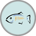 Payara