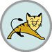 JBoss server