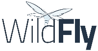 سرور wild fly